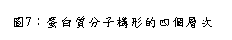 文字方塊: 圖7：蛋白質分子構形的四個層次（2）
